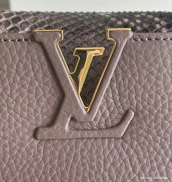 Official oldcobbler LOUIS VUITTON CAPUCINES MINI 0802